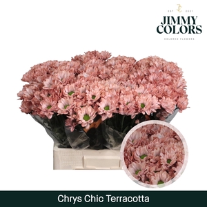 Chrys tros Chic Terracotta