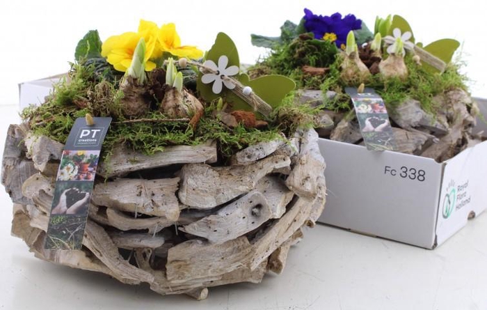 <h4>BOLBLOEMEN OV</h4>