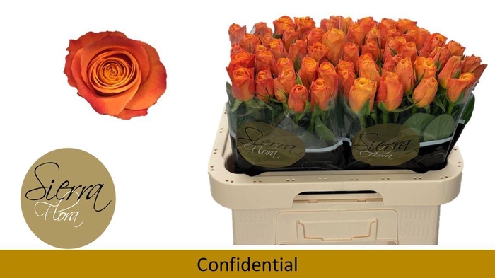 <h4>R Gr Confidential</h4>