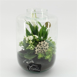 ESCR-2533W Essentials terrarium