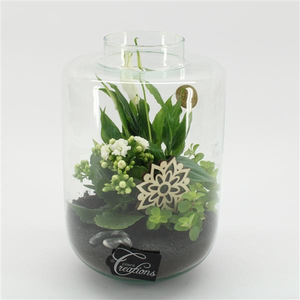 <h4>ESCR-2533W Essentials terrarium</h4>
