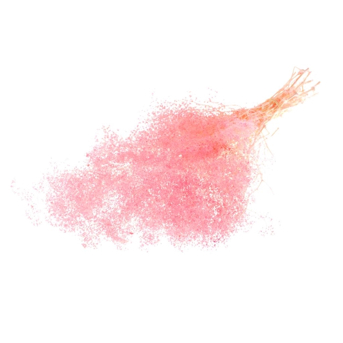 <h4>Gypsophila Mini Preserved Pink</h4>