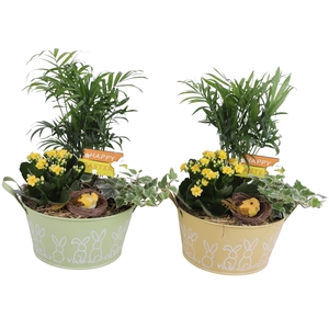 Easter Arr. Indoor Zinc Pot Round Bunny Relief Ø21cm 3PP