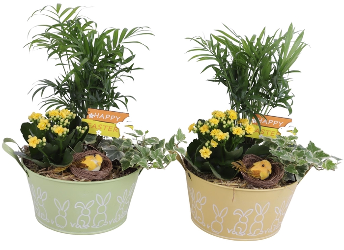 <h4>Easter Arr. Indoor Zinc Pot Round Bunny Relief Ø21cm 3PP</h4>