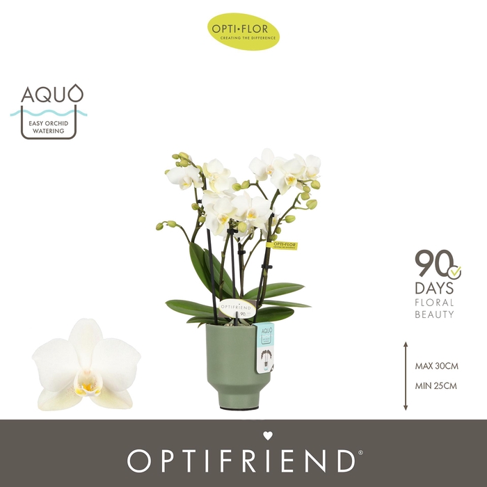 <h4>Optifriend Sandra 4 spike in Emilia Green Aquo</h4>