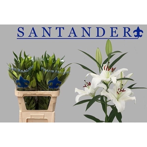 LI OR SANTANDER