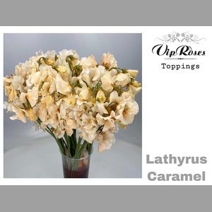 LATHYR CARAMEL