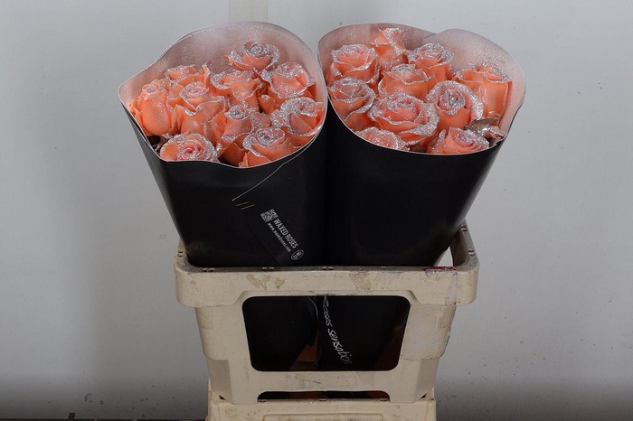 <h4>R Ov Wx Versilia Glitter Zilver</h4>