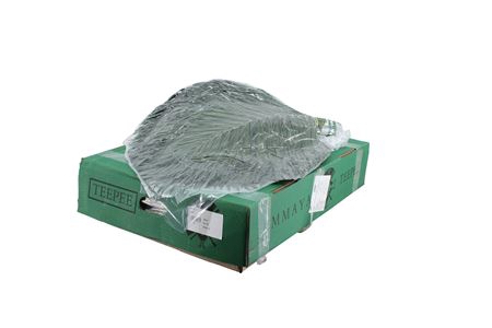 <h4>/TEE PEE x5</h4>