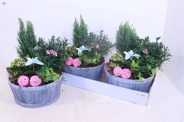 <h4>ARR TUINPLANTEN</h4>