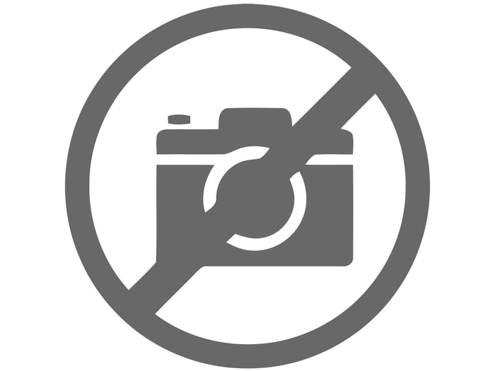 <h4>Zamioculcas 21 cm Slag A1</h4>