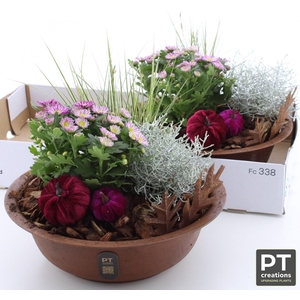 ARR TUINPLANTEN