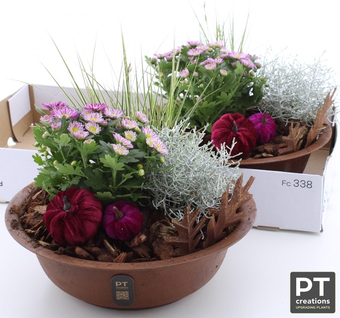<h4>ARR TUINPLANTEN</h4>