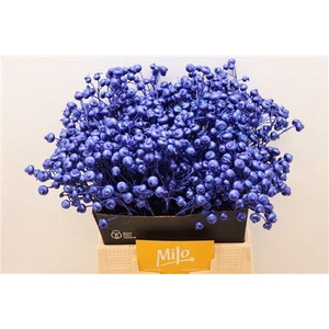 Rosa Klb Blauw Donker Metallic