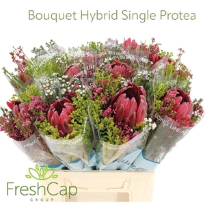 Bouquet Hybrid Single Protea