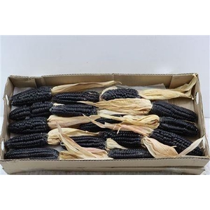 ZEA MAYS