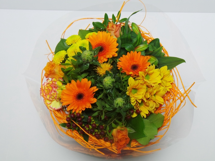 <h4>BQ Sisal Large Orange</h4>