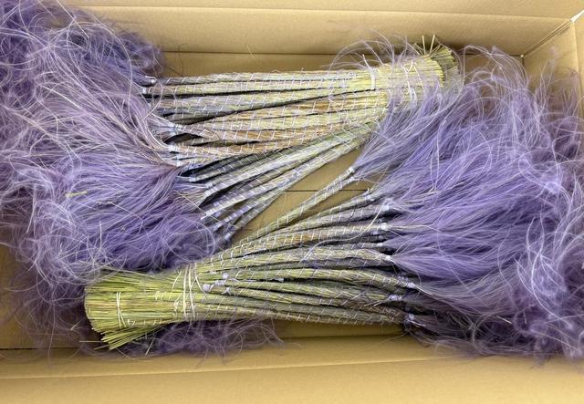 <h4>DF Stypha 60cm Bs Milka</h4>