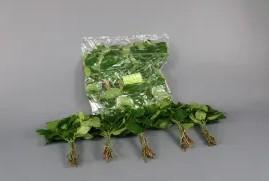 SALAL MINI TIPS (5 BOS PER ZAK)