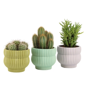 7501367: Solutionss Consideration