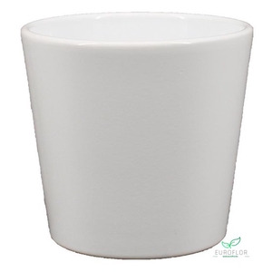 POT ORCHIDEE D13,5 H12,5 WIT