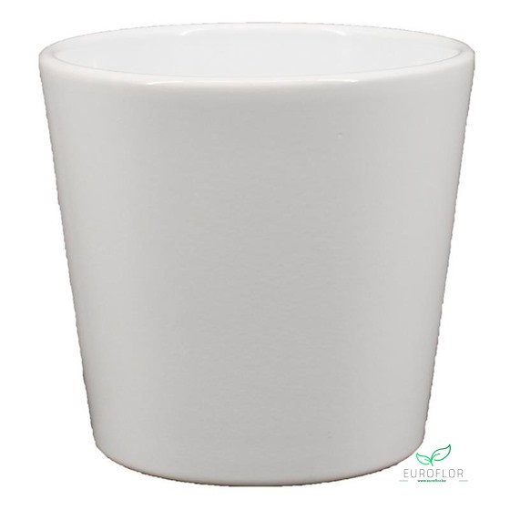 POT ORCHIDEE D13,5 H12,5 WIT