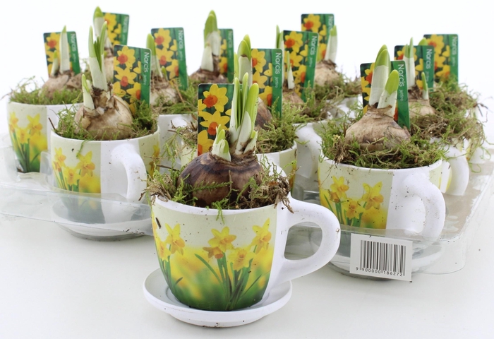 <h4>ARR N TETE A TETE</h4>