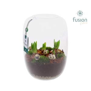 Green Bottle Isabella XLarge Pasen met Bollen mix