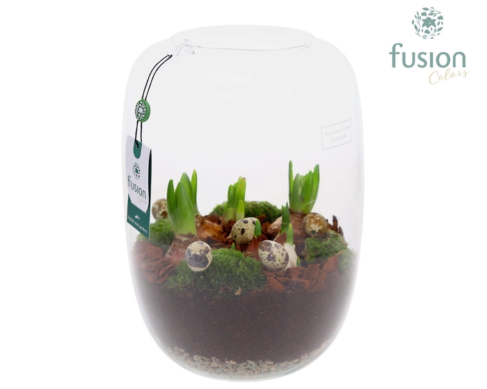 <h4>Green Bottle Isabella XLarge Pasen met Bollen mix</h4>