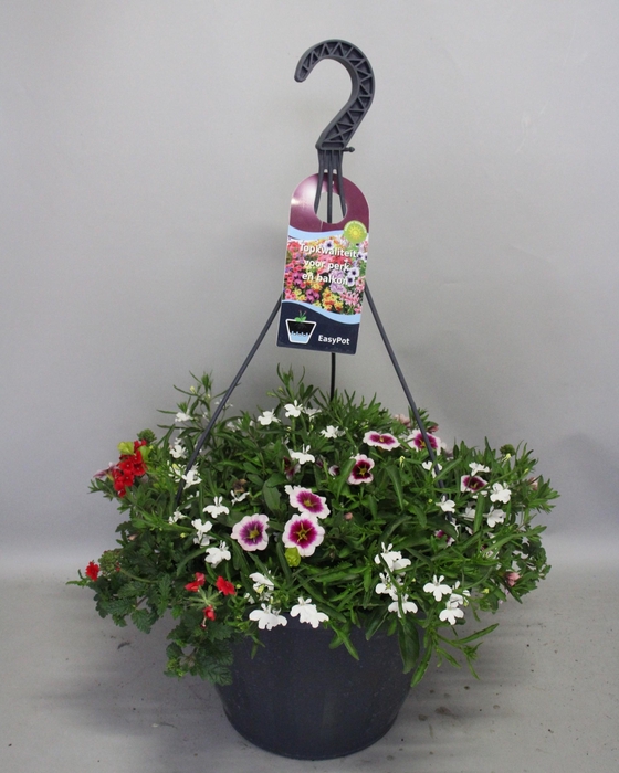 <h4>Hangpotten 37 cm met waterreservoir Mix 03 Light pink eye mix</h4>