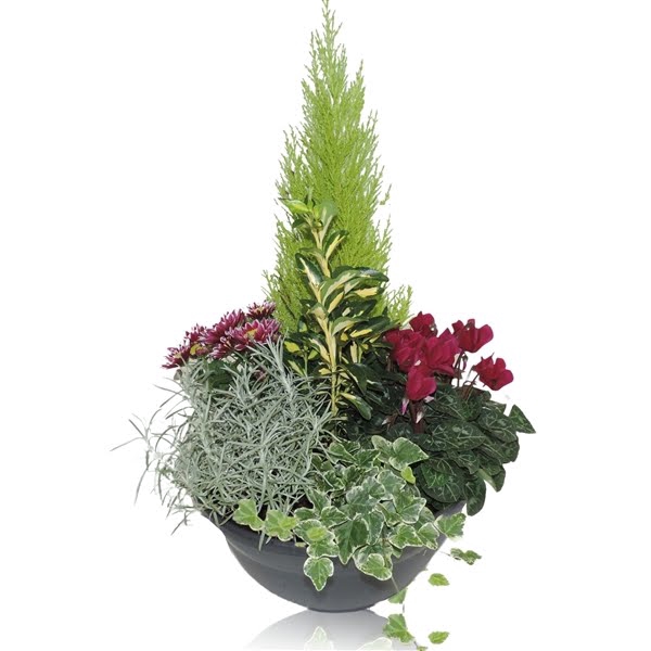 <h4>Arrangement in Bowl 30 cm</h4>