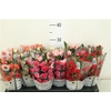 Ro Waterfresh Large Gem 4 Srt