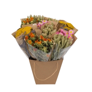 Droogbloemen-Dried Mono Mix 50cm-Dutch