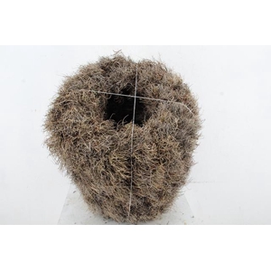 WREATH IRON GRASS 45CM