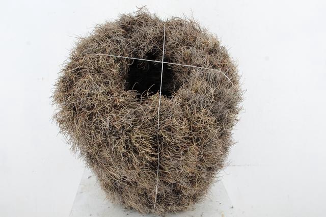 <h4>WREATH IRON GRASS 45CM</h4>