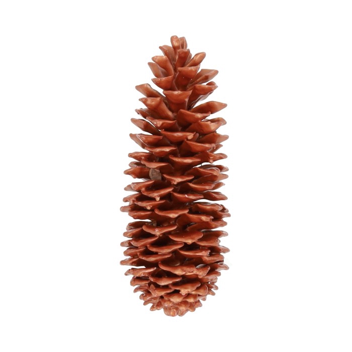 <h4>Pinecone Sugar Wax Slv L35</h4>