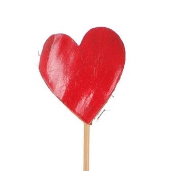 <h4>Valentine 12cm Heart Coco 5.5cm</h4>