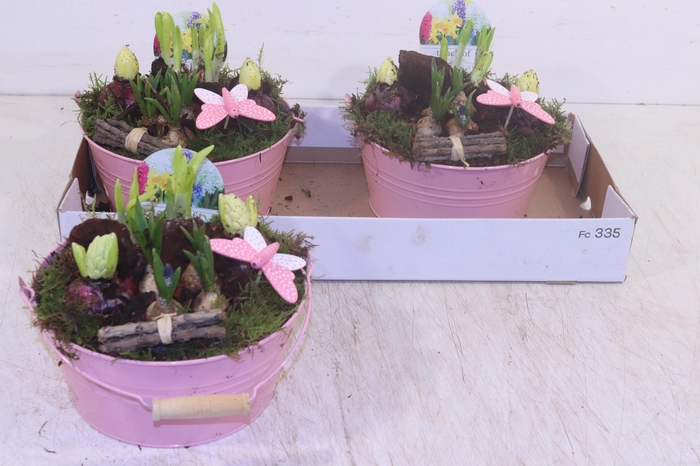 <h4>ARR BOL KNOLGEWAS</h4>