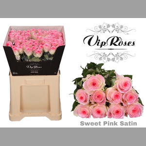 R GR SWEET PINK SATIN 998