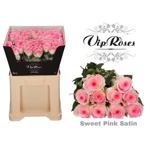 R GR SWEET PINK SATIN 998