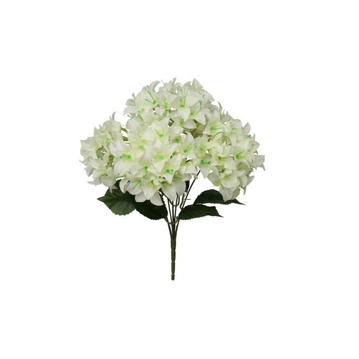 <h4>Bunch Bougainvillea L46W24H24</h4>