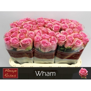 R GR WHAM