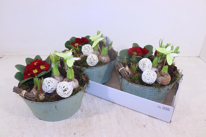 <h4>ARR TUINPLANTEN</h4>