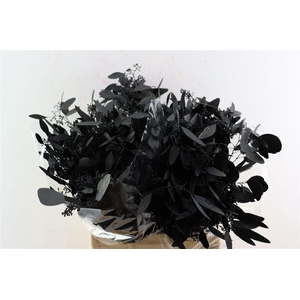Euca Populus Berry Black P Bunch