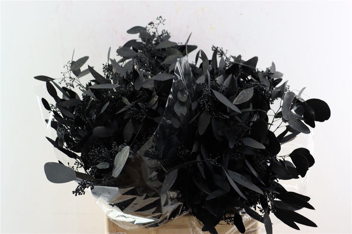 <h4>Euca Populus Berry Black P Bunch</h4>