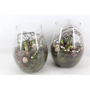 arr4 Narcis MB - Glas roma groot