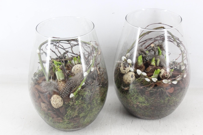 <h4>arr4 Narcis MB - Glas roma groot</h4>