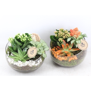 arr2 PL - Glas bol schuin - oranje/wit