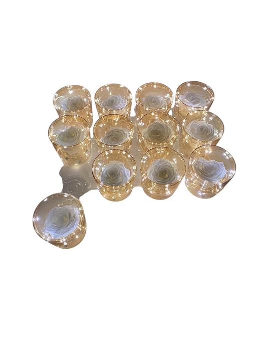 <h4>ARR ROSA POT H%</h4>