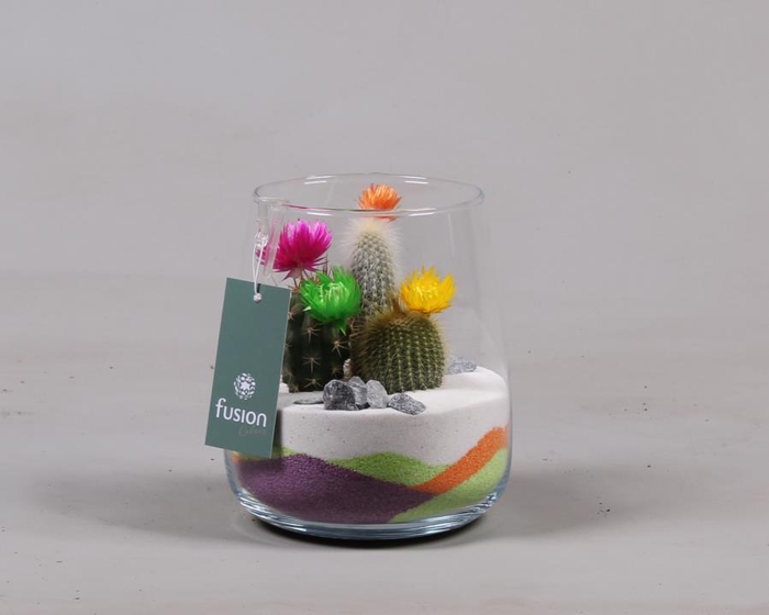 <h4>Glazen vaas met Cactussen en nepbloemetjes</h4>